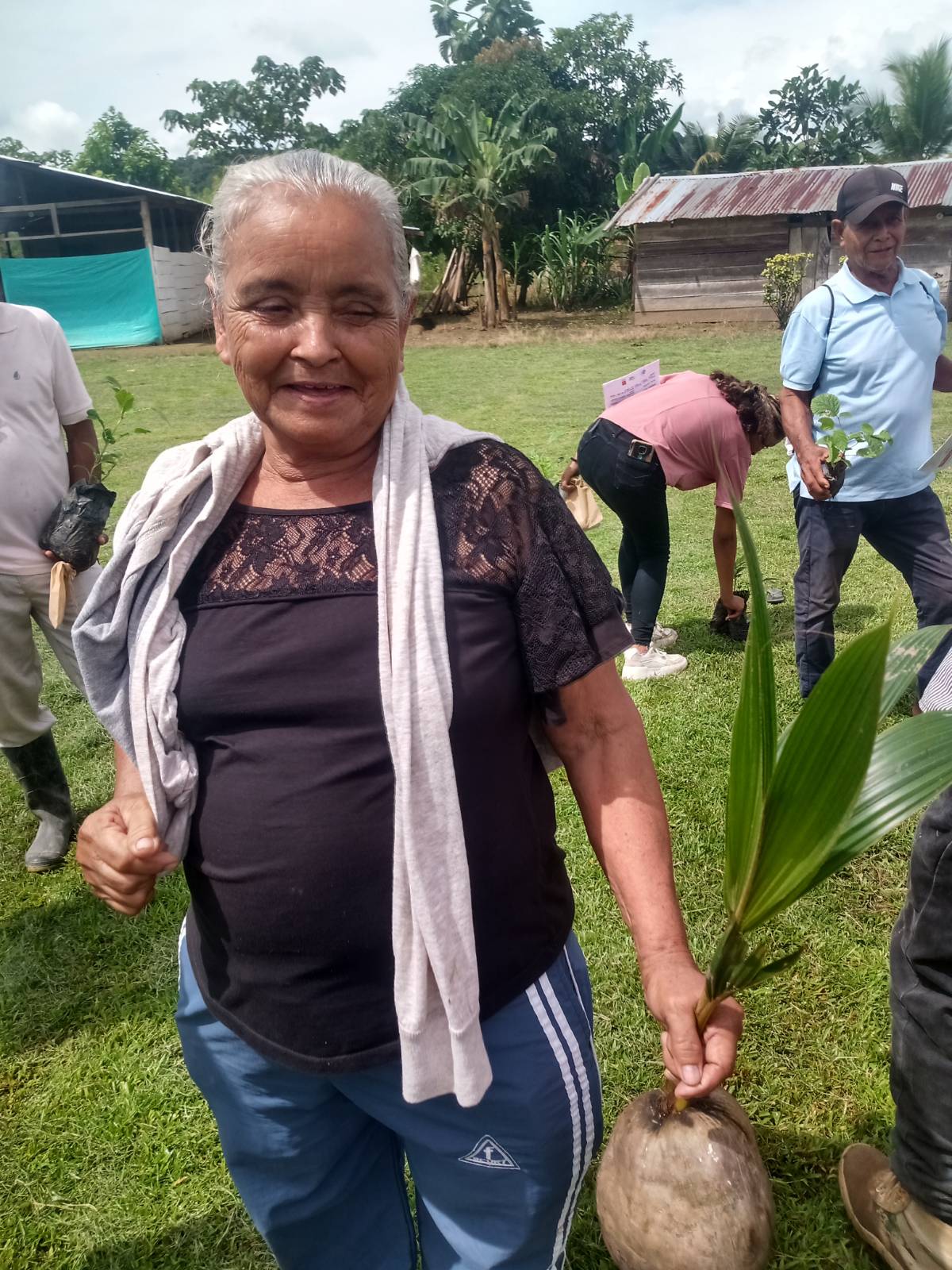 signal-2022-07-24-17-21-25-010 - Intercambio de experiencias y semillas en la Zona de Biodiversidad La Madre Unión (Chocó) Intercambio de experiencias y semillas en la Zona de Biodiversidad La Madre Unión (Chocó) - signal-2022-07-24-17-21-25-010